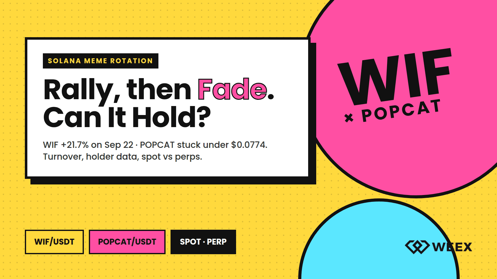 Rallye des cours de WIF et POPCAT : la rotation des memecoins Solana peut-elle tenir ?
