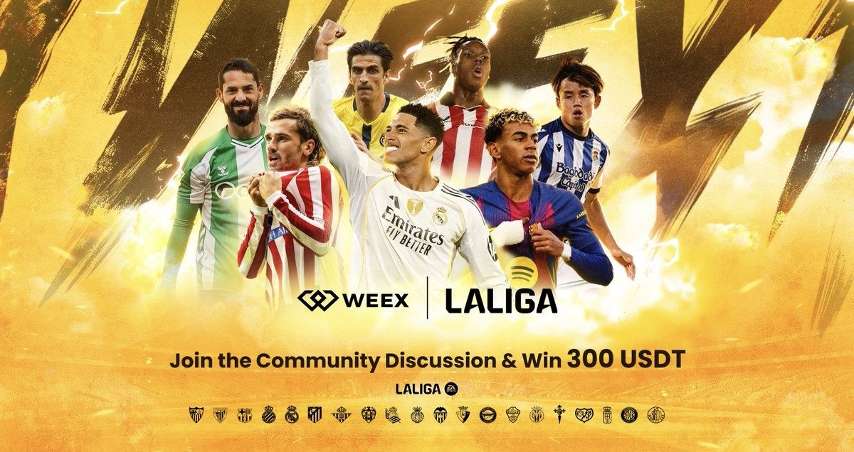 أفضل الأسهم الرابحة في بورصة WEEX