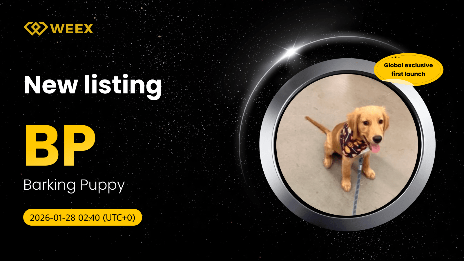 Barking Puppy (BP) Liste exclusive des pièces sur place la SEMAINE BP USDT