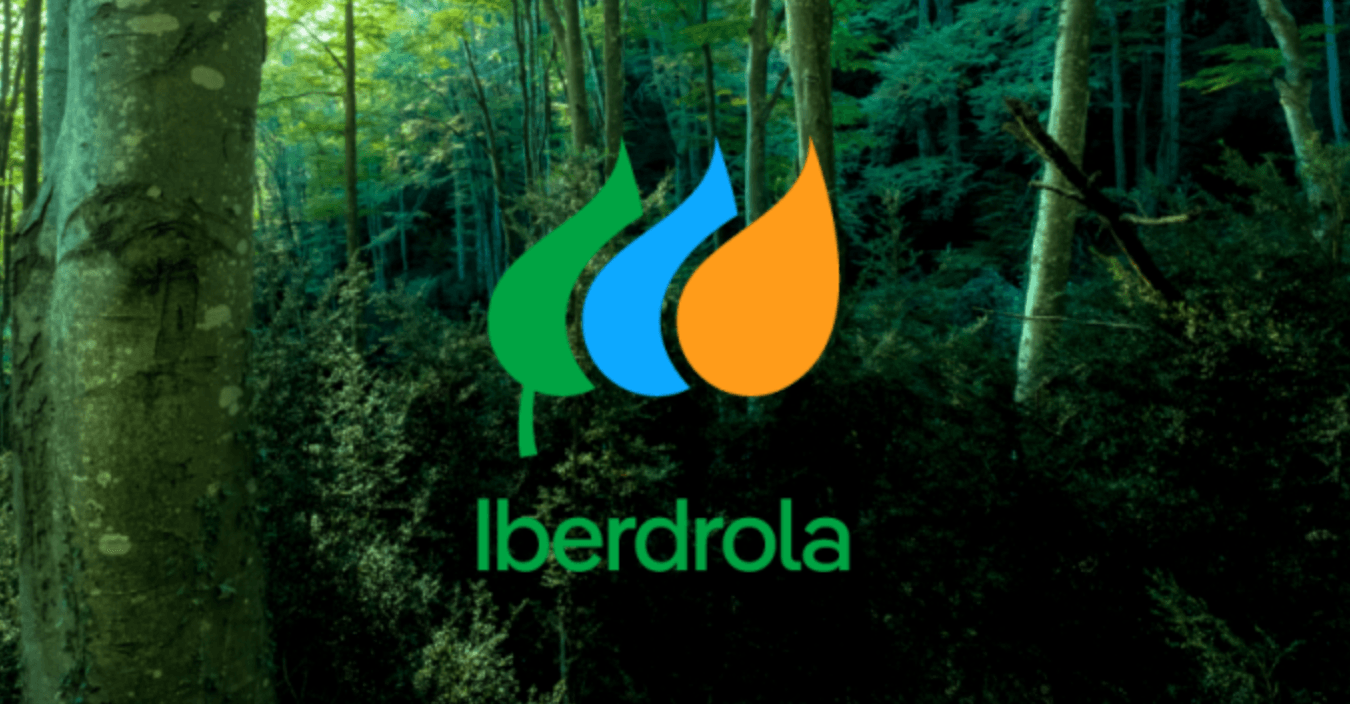 Iberdrolas Nettoverschuldung