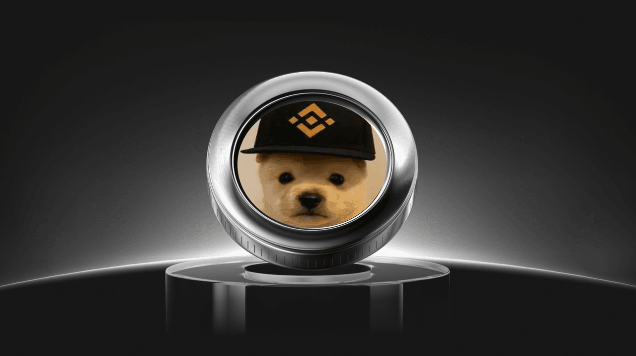 Qu'est-ce que la pièce PUP (PUP) ?