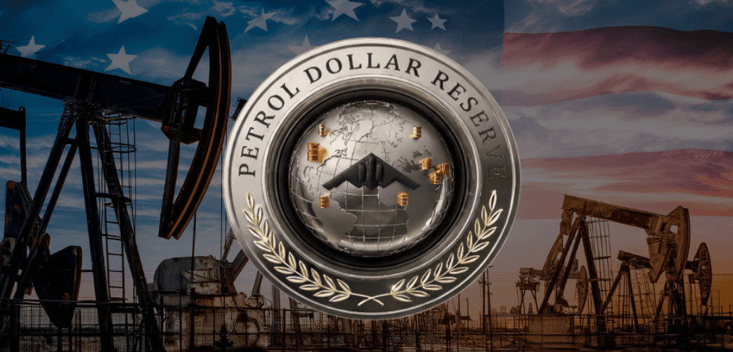 ペトロル・ダラー・リザーブ(PDR)暗号通貨とは何ですか?マクロミームコインの徹底分析