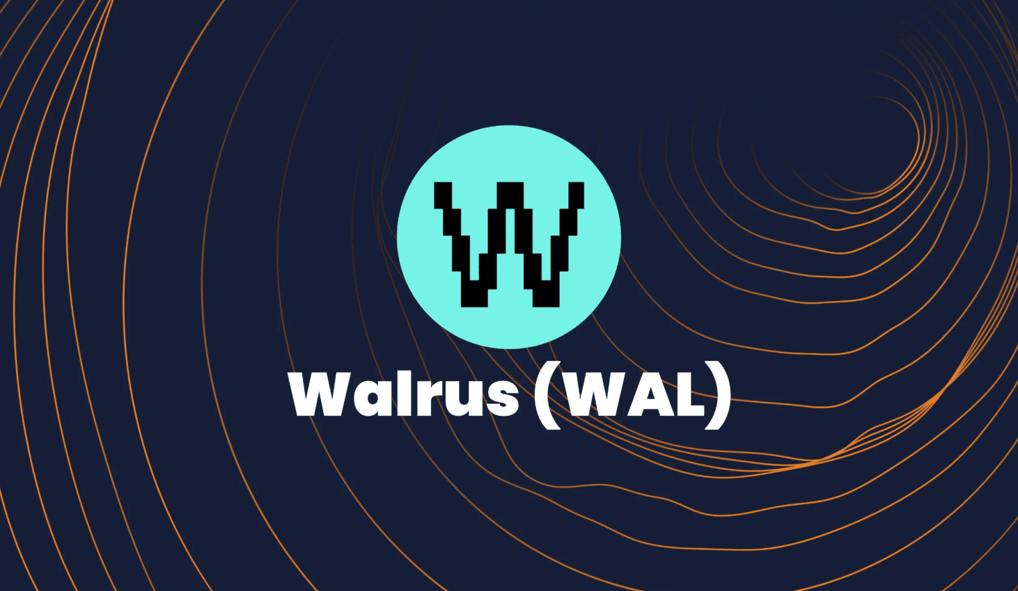 Why Is Walrus Coin Rising