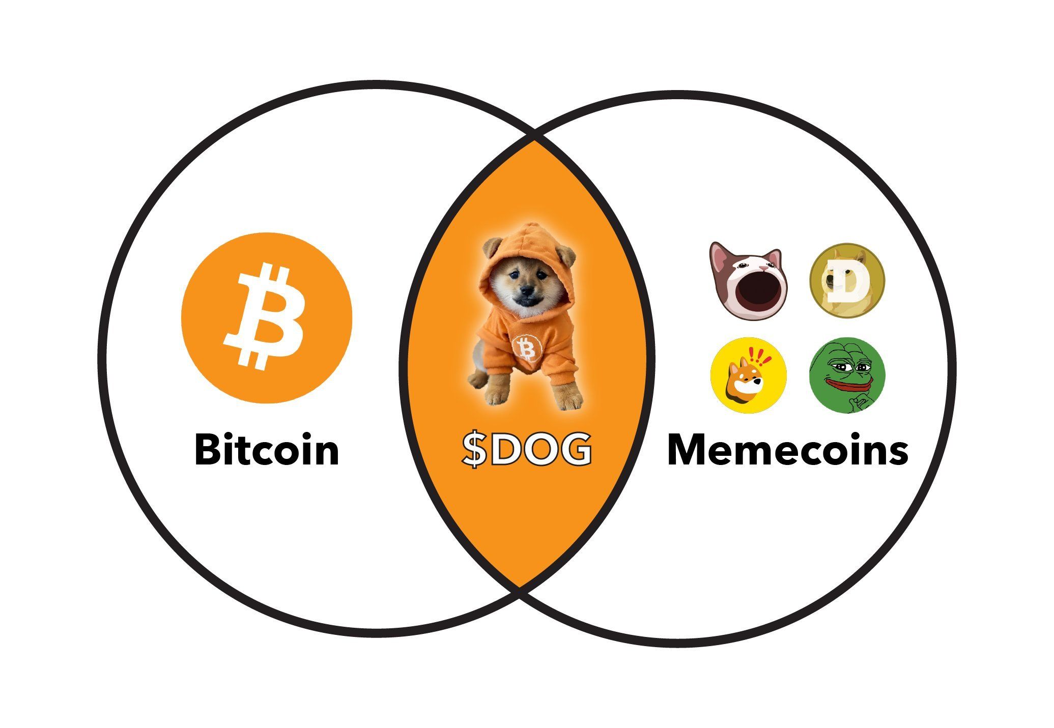 Avril 2025 Meme Coin Review : Les Meme Coins qui gagnent le plus montent en flèche en avril