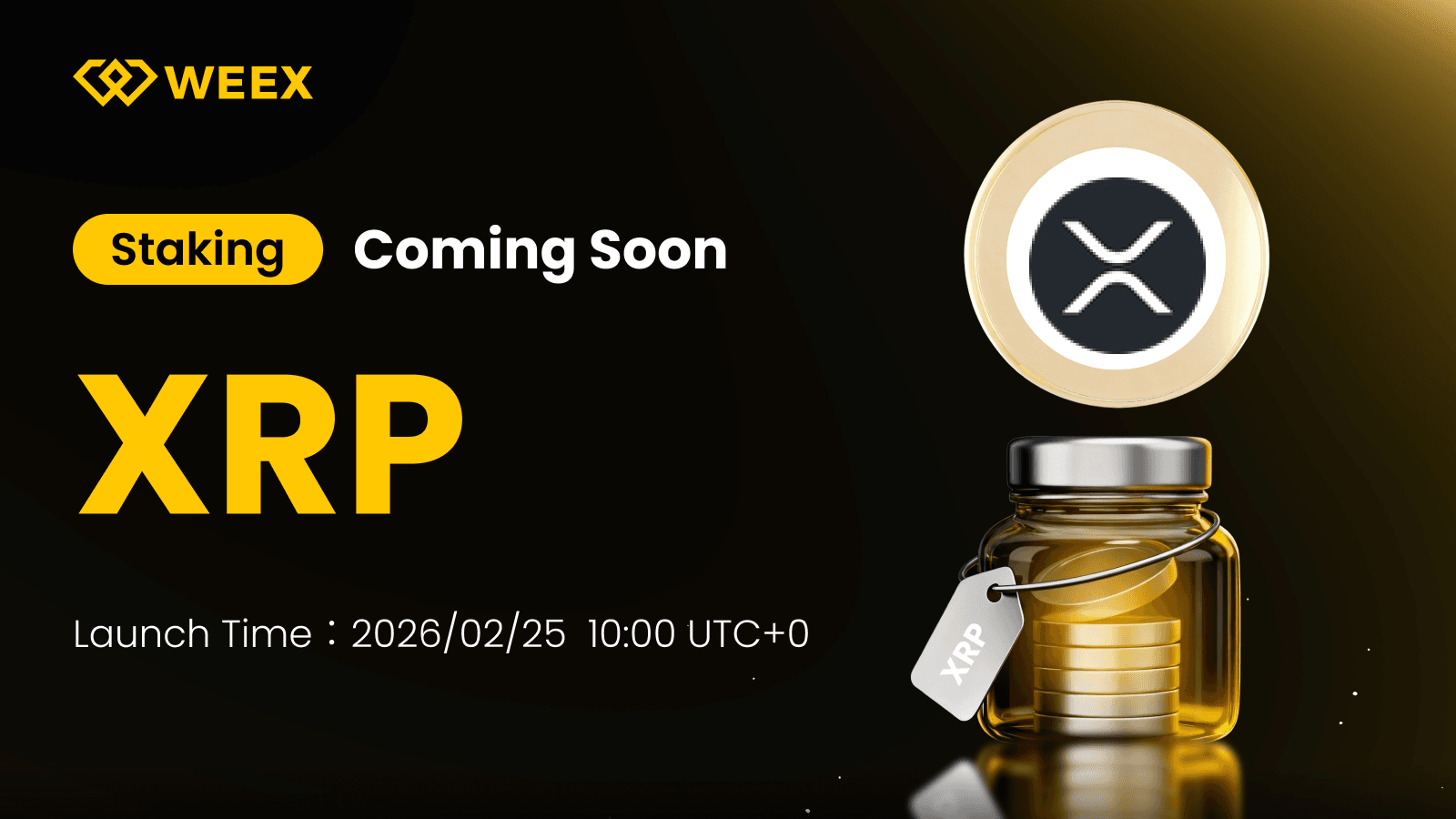 راه اندازی استیکینگ XRP در WEEX: آنچه باید بدانید