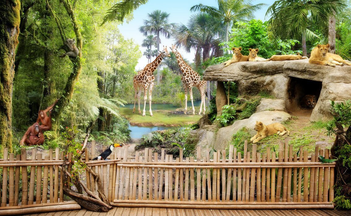 التوزيع المجاني لعملة Zoo وإدراجها اليوم: دليلك الكامل للمطالبة بتداول عملات ZOO