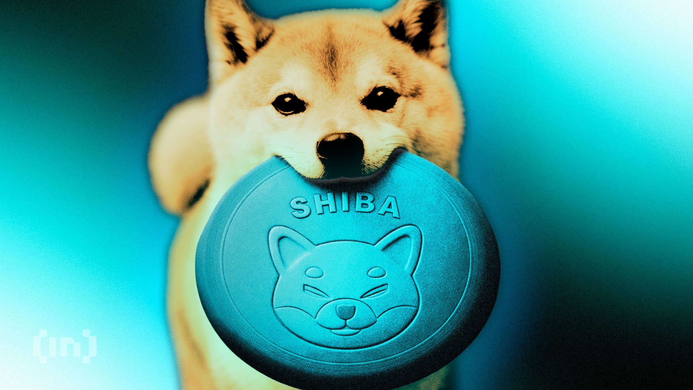 Un chien Shiba Inu tenant le symbole du token SHIBA représentant la culture des pièces de mème et l'engouement pour les cryptomonnaies