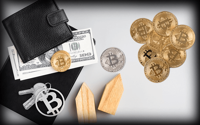 De billeteras frías a billeteras calientes: ¿Cómo elegir la billetera de criptomonedas adecuada para ti?