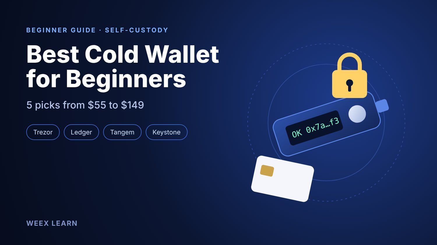 Las mejores wallets frías de criptomonedas para principiantes: 5 opciones menos de 150 $