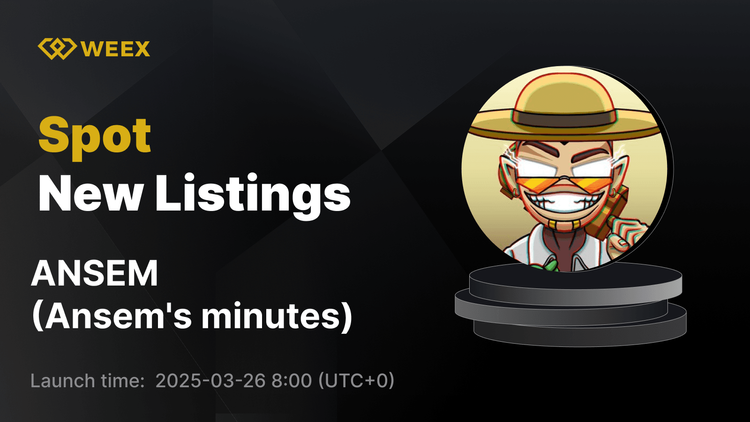 دقیقه Ansem (ANSEM) اکنون در WEEX با ANSEM USDT Trading موجود است