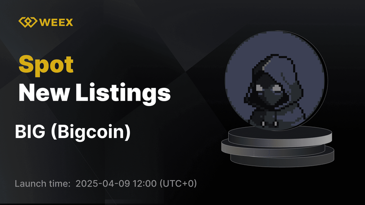 Bigcoin (BIG) ahora disponible en el mercado spot WEEX con el GRAN par de trading USDT en vivo