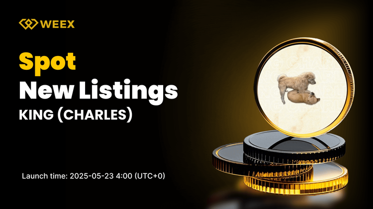 CHARLES (KING) listo para su lanzamiento en WEEX Spot