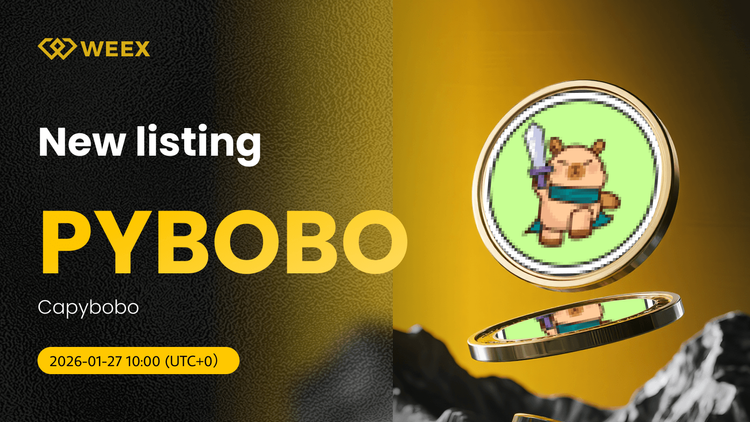 PYBOBO USDT 現已上線：Capybobo (PYBOBO) 幣在 WEEX 上線