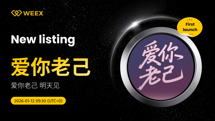 التداول الفوري على USDT: أغنية "أحبك يا نفسي الأكبر سناً" مدرجة على منصة WEEX Spot