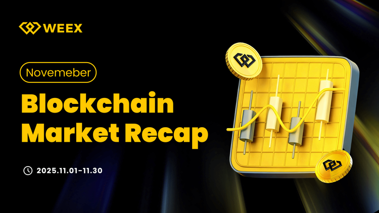 November 2025 Crypto Market Review: Kurskorrektur, ETF-Einlösungen und sich entwickelnde Blockchain-Landschaft