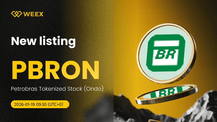 تداول PBRON USDT: سهم بتروبراس المرمز على WEEX سبوت
