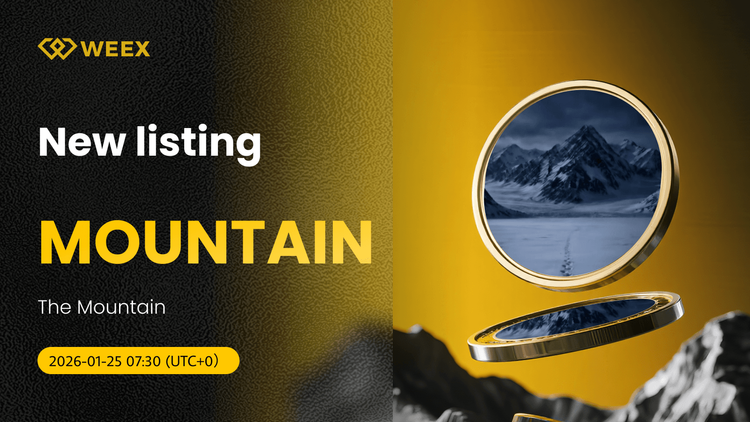 سکه کوه در WEEX با جفت معاملاتی MOUNTAIN USDT فهرست شد