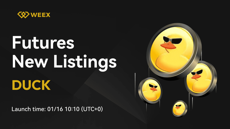 DuckChain (DUCK) ya está listado y el par de trading DUCK USDT disponible en WEEX