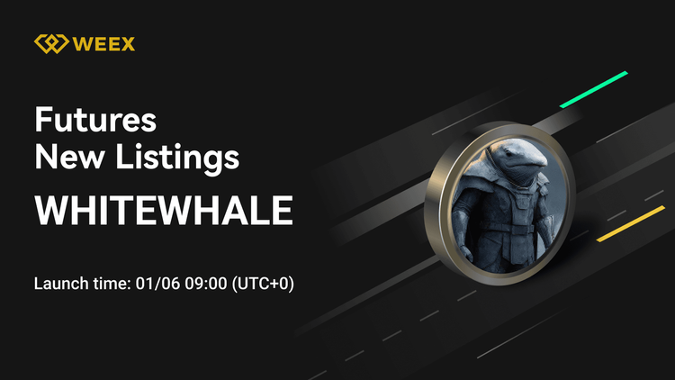 WHITEWHALE USDT: WEEX Futures lance son contrat perpétuel
