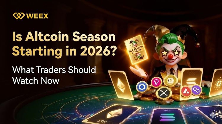 Beginnt die Altcoin-Saison erst 2026? Worauf Händler jetzt achten sollten