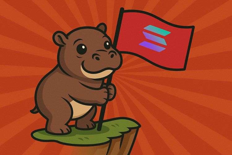 Qu'est-ce que Moo Deng Coin ? Le prix de Moo Deng Coin peut-il atteindre 1 $ en 2025 ?