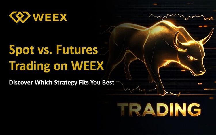 WEEX 现货与合约交易的区别:哪种更适合您?