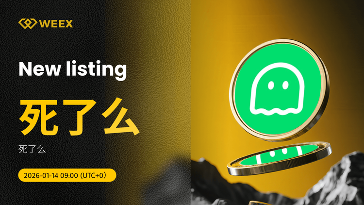 تداول 死了么 USDT على WEEX Spot: 死了么 Coin مدرج