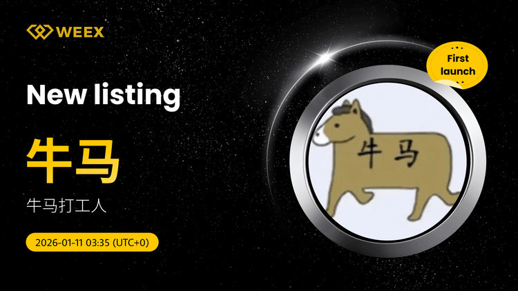 تداول عملة USDT (牛马): قوائم عملات الثور والحصان (牛马) على منصة WEEX