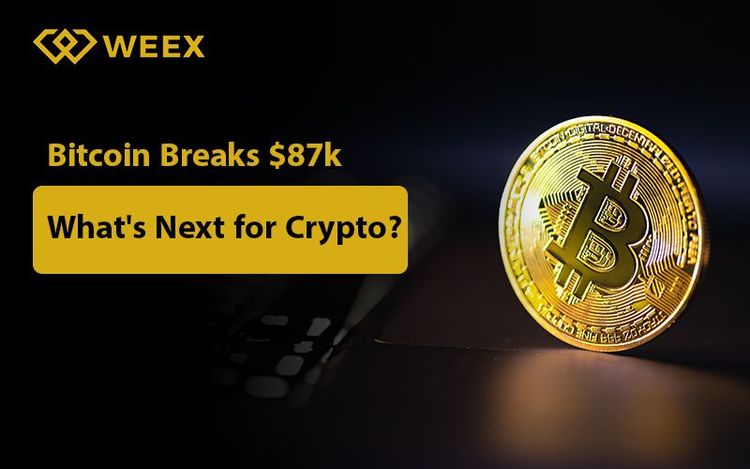 El precio de Bitcoin supera los $87,000: ¿Cuál es el futuro de las criptomonedas?