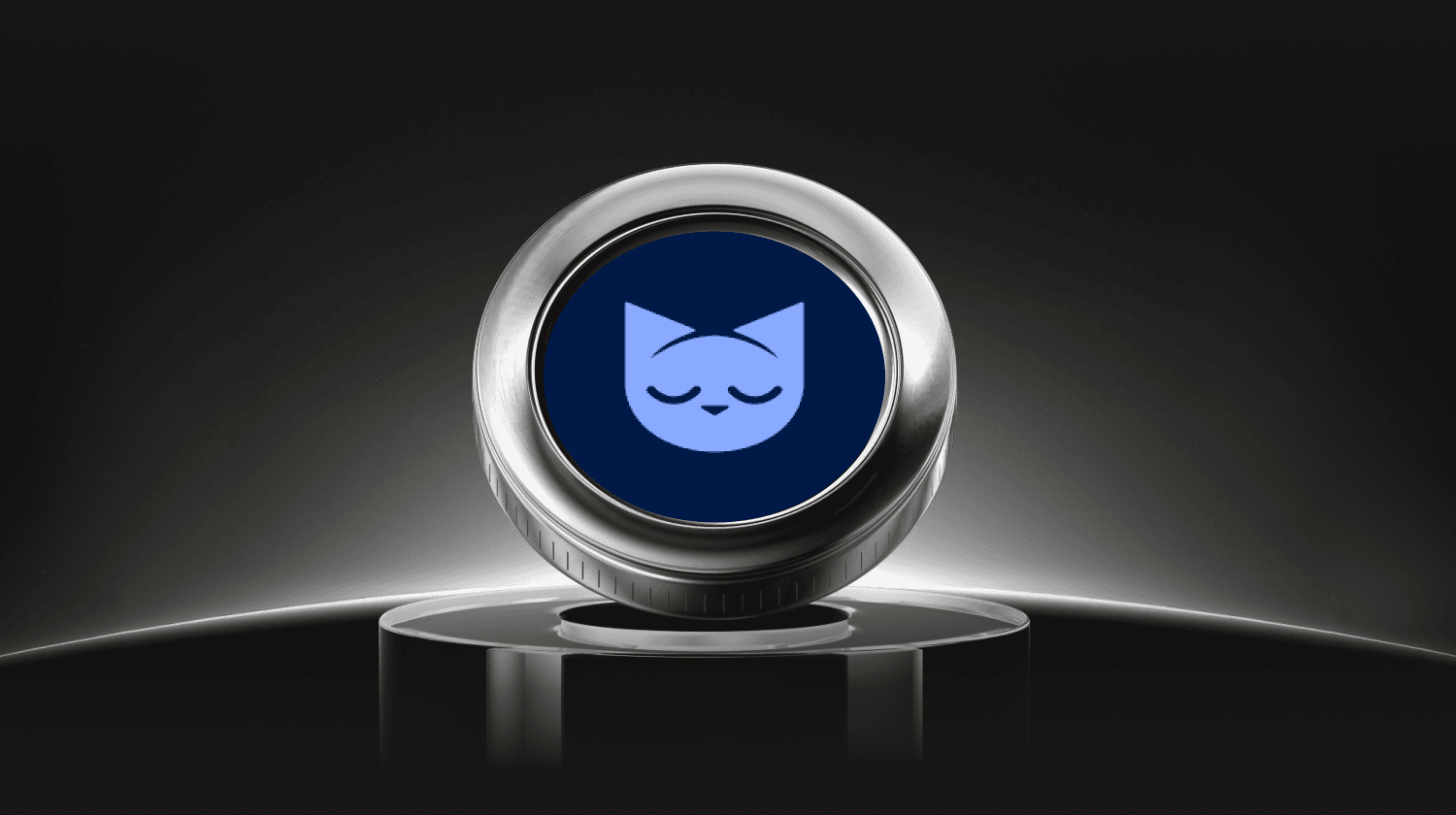 What Is Minswap (MIN)? A Complete Guide